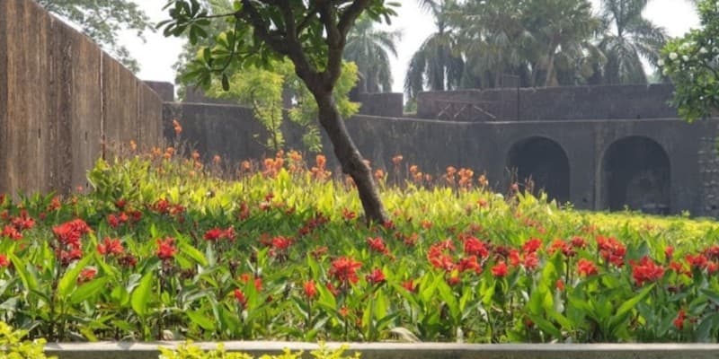 Guided Nature Walk and Bird Watching